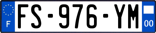 FS-976-YM