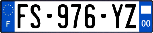 FS-976-YZ