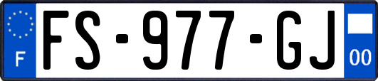 FS-977-GJ