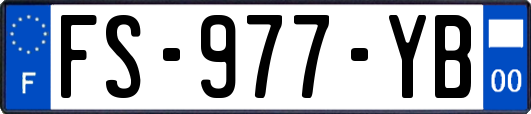 FS-977-YB