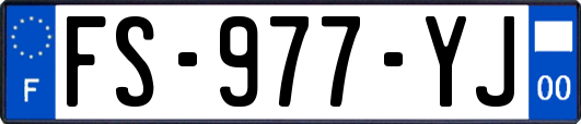 FS-977-YJ