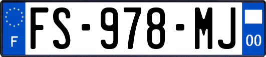 FS-978-MJ