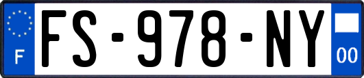 FS-978-NY