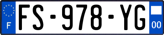 FS-978-YG