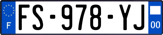 FS-978-YJ