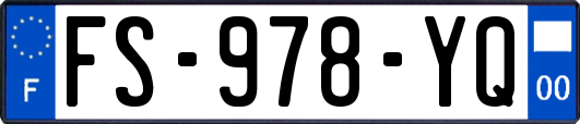 FS-978-YQ