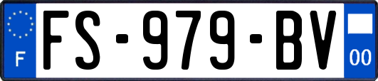FS-979-BV