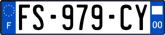 FS-979-CY