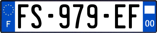 FS-979-EF