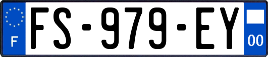 FS-979-EY