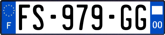 FS-979-GG