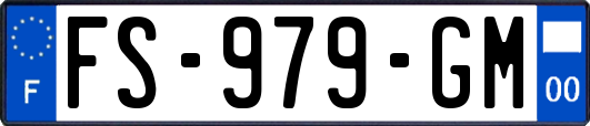 FS-979-GM