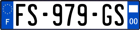 FS-979-GS