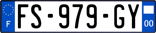 FS-979-GY