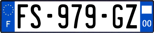 FS-979-GZ