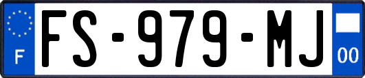 FS-979-MJ