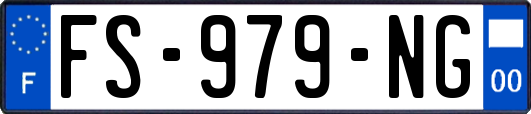 FS-979-NG