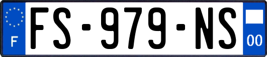 FS-979-NS