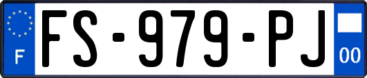FS-979-PJ