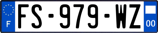 FS-979-WZ