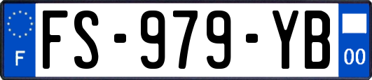 FS-979-YB