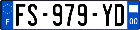 FS-979-YD