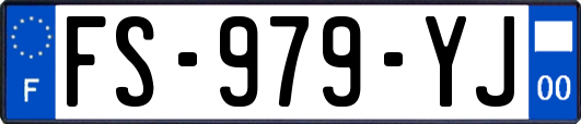FS-979-YJ
