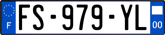 FS-979-YL