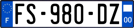 FS-980-DZ