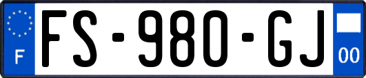 FS-980-GJ