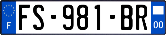 FS-981-BR