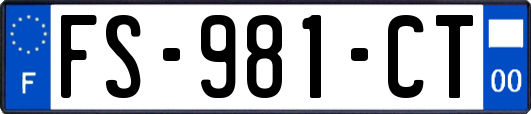 FS-981-CT