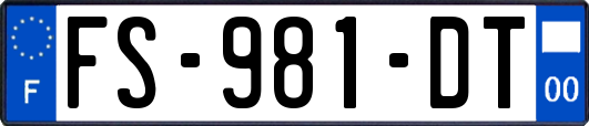 FS-981-DT