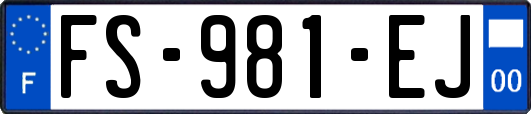 FS-981-EJ