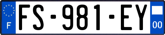 FS-981-EY