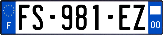 FS-981-EZ