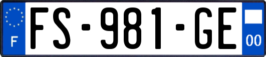 FS-981-GE