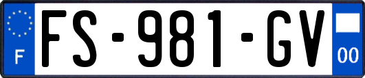 FS-981-GV