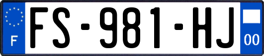 FS-981-HJ
