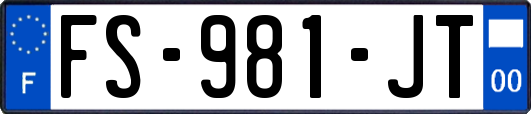 FS-981-JT