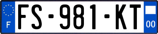 FS-981-KT