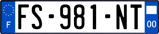 FS-981-NT