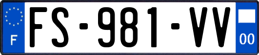 FS-981-VV