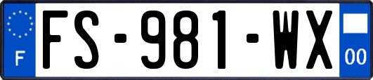 FS-981-WX