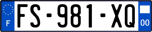 FS-981-XQ