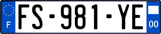 FS-981-YE