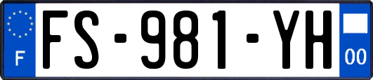 FS-981-YH