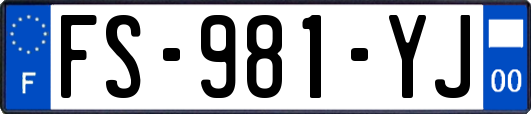 FS-981-YJ