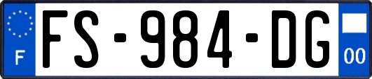 FS-984-DG