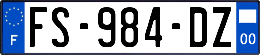 FS-984-DZ